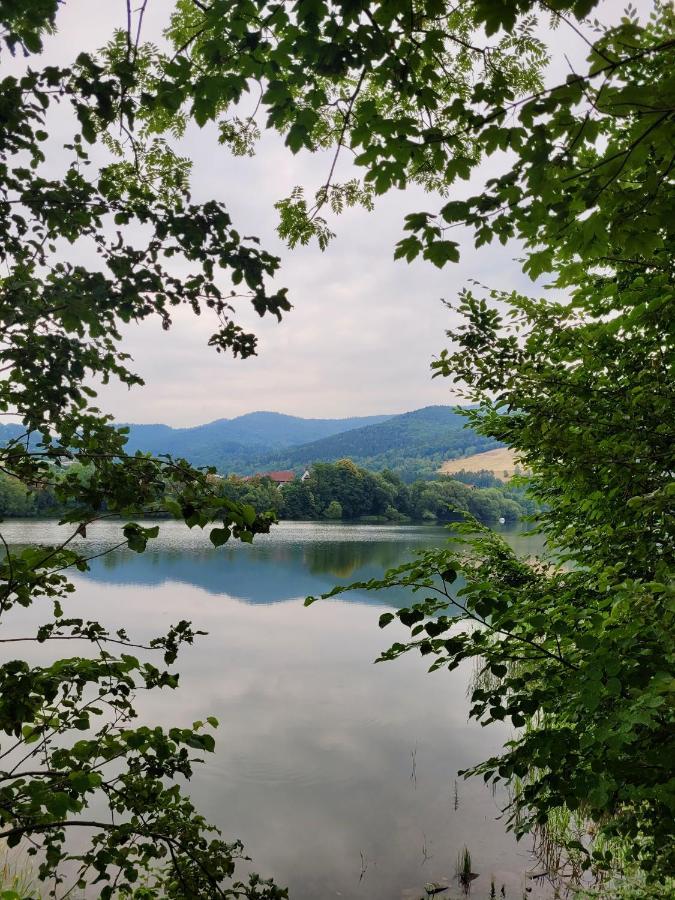 Pokoje Goscinne U Brody Miedzybrodzie Zywieckie Exterior foto