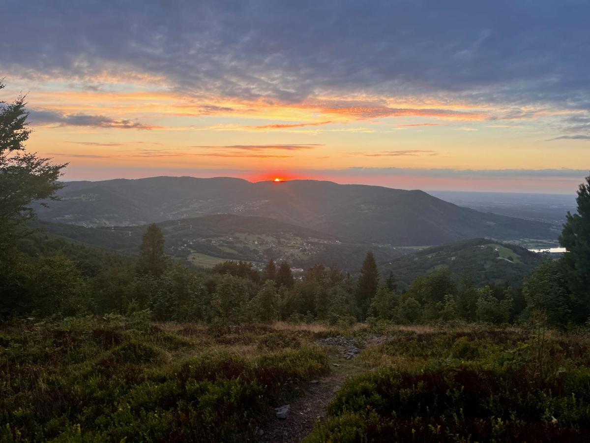 Pokoje Goscinne U Brody Miedzybrodzie Zywieckie Exterior foto